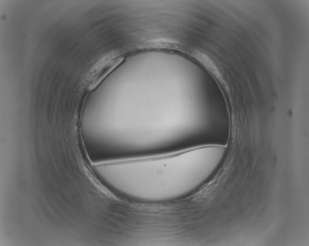 X0000068770389200604281023