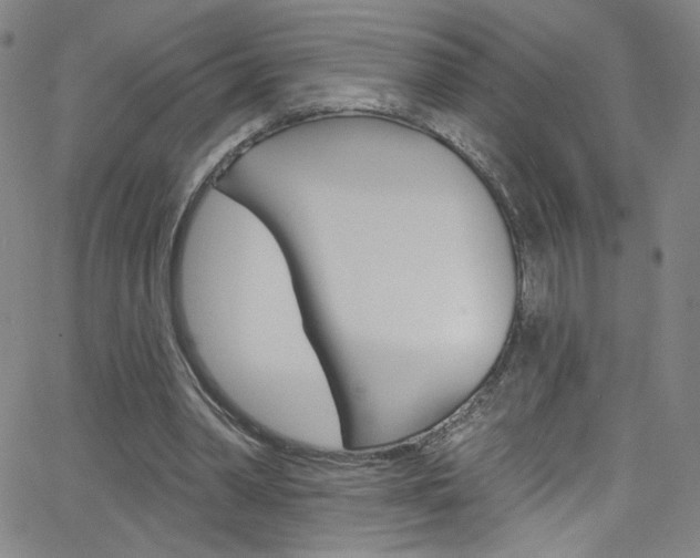 X0000068770390200604281023