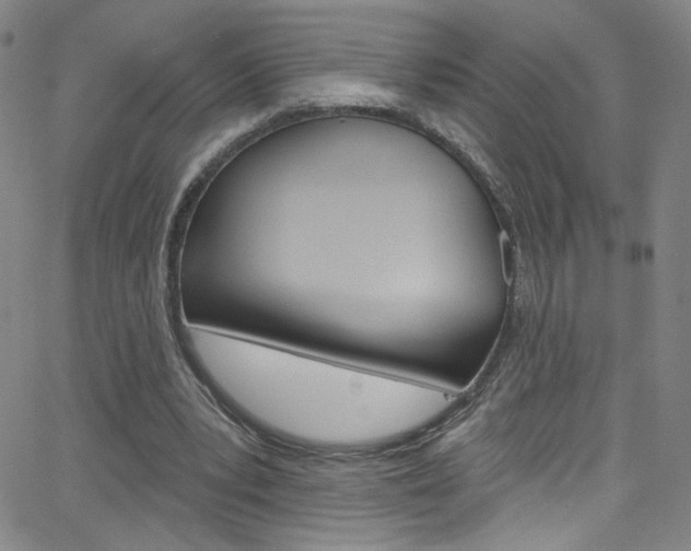 X0000068770391200604281023