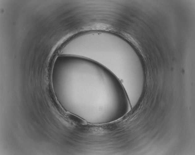 X0000068770392200604281023