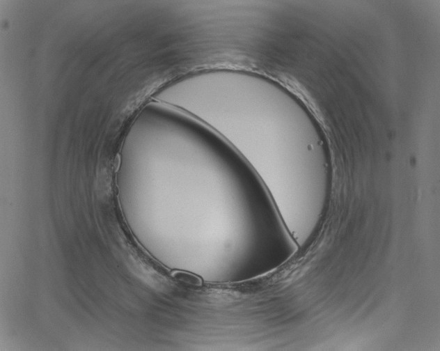 X0000068770393200604281023