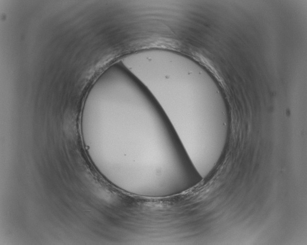 X0000068770394200604281023