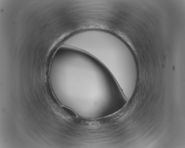 X0000068770395200604281023