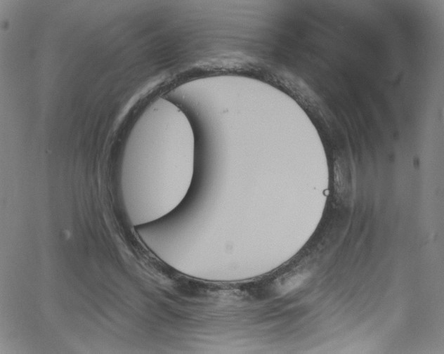 X0000068770396200604281023