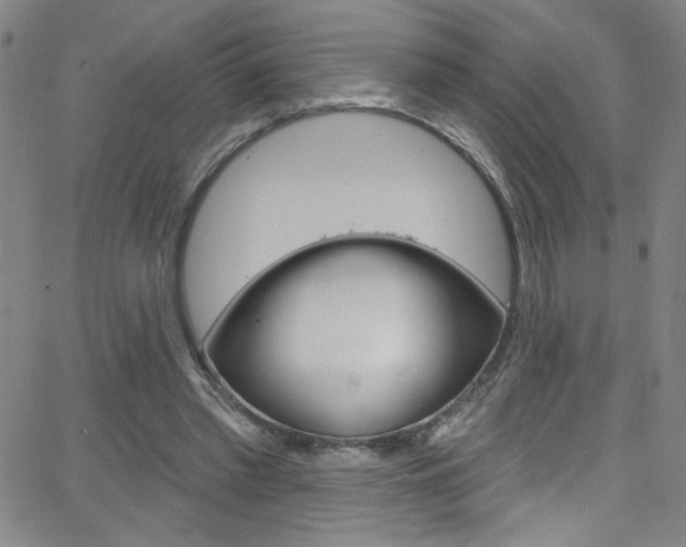 X0000068770397200604281023