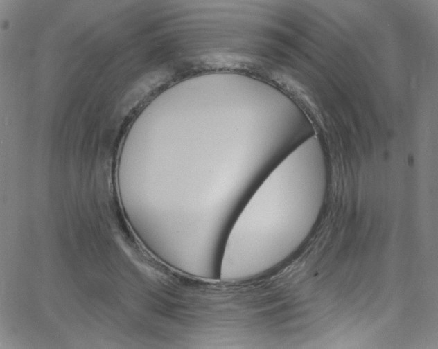 X0000068770398200604281023