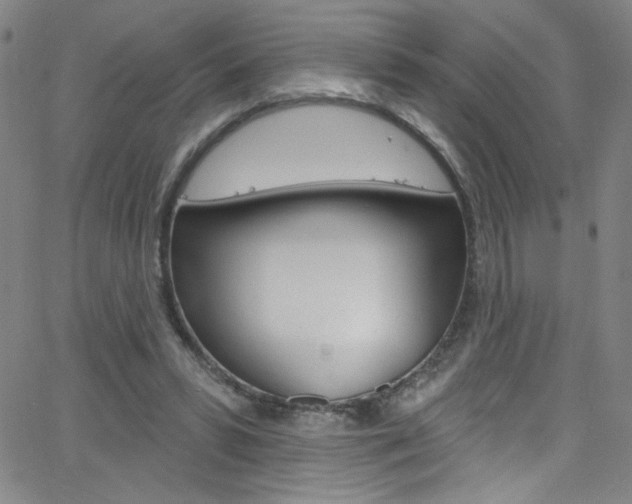 X0000068770399200604281023