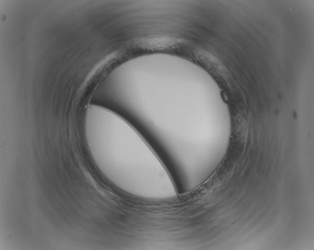 X0000068770400200604281023