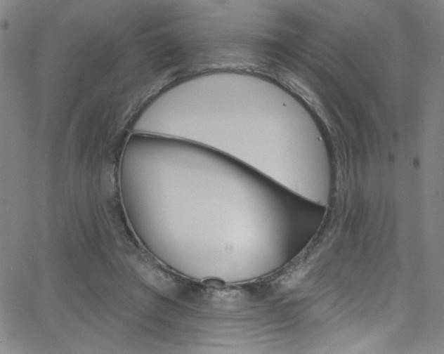 X0000068770401200604281023