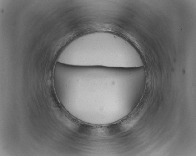 X0000068770402200604281023