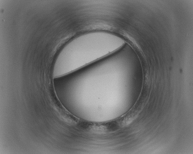 X0000068770403200604281023