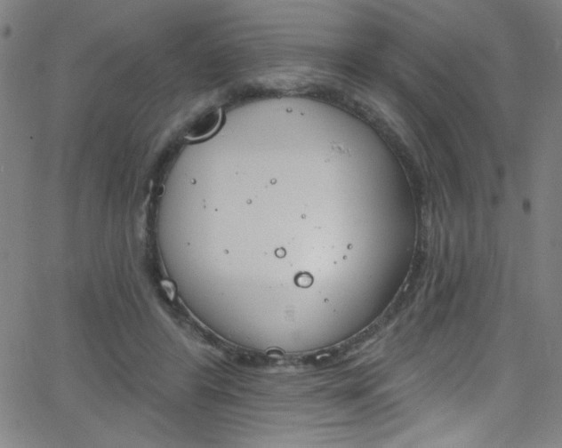 X0000068770404200604281023