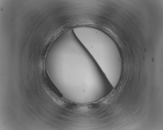 X0000068770405200604281023