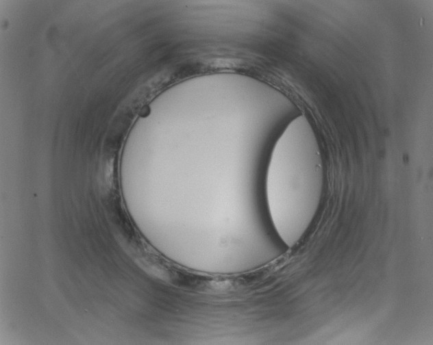 X0000068770406200604281023