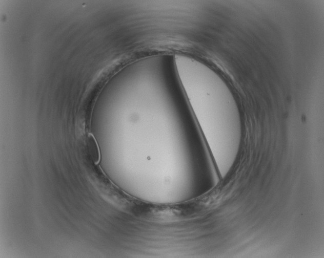 X0000068770407200604281023