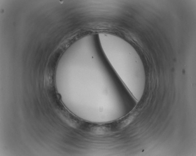 X0000068770408200604281023