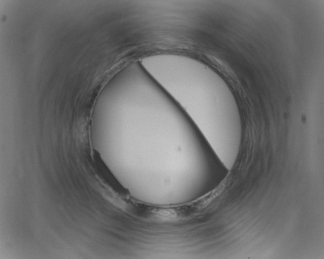 X0000068770409200604281023