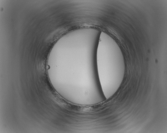 X0000068770410200604281023