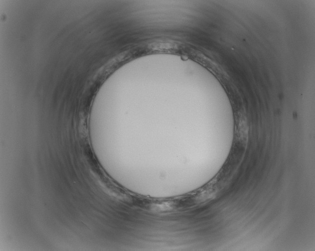 X0000068770411200604281023