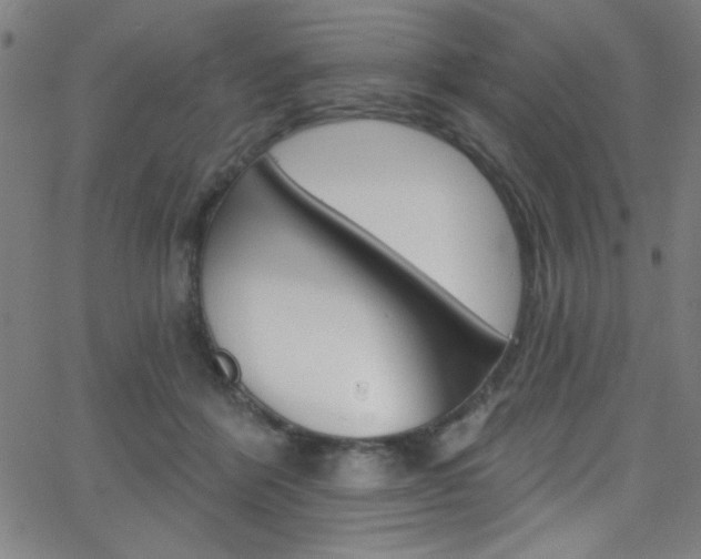 X0000068770412200604281023