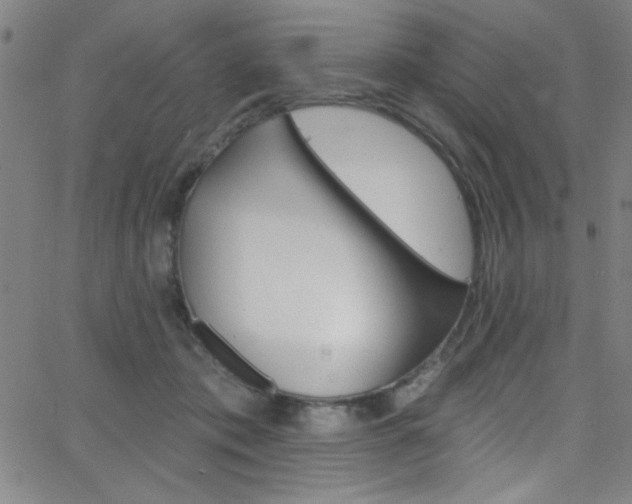 X0000068770413200604281023