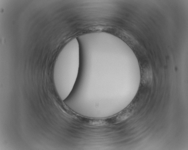 X0000068770414200604281023