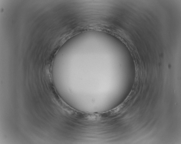 X0000068770415200604281023