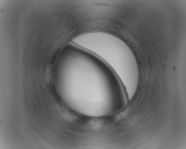 X0000068770416200604281023