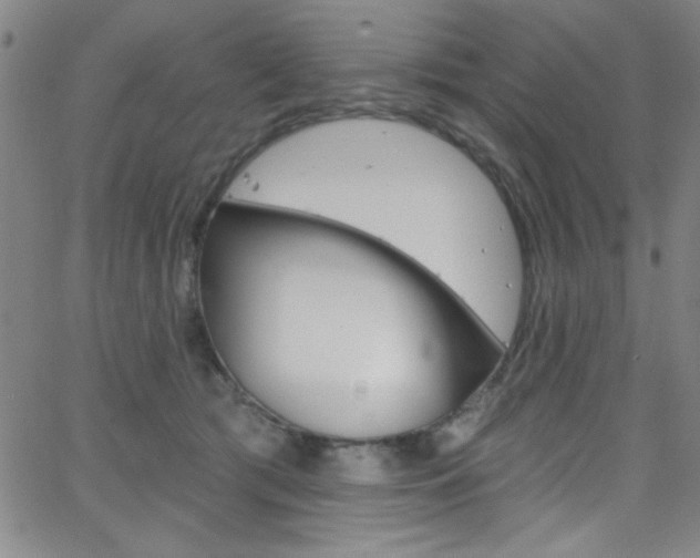 X0000068770417200604281023