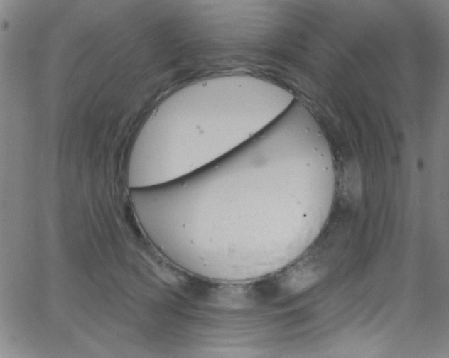 X0000068770418200604281023