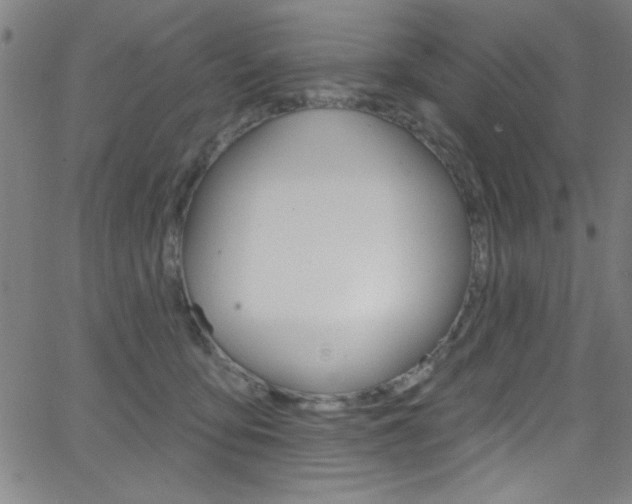 X0000068770419200604281023