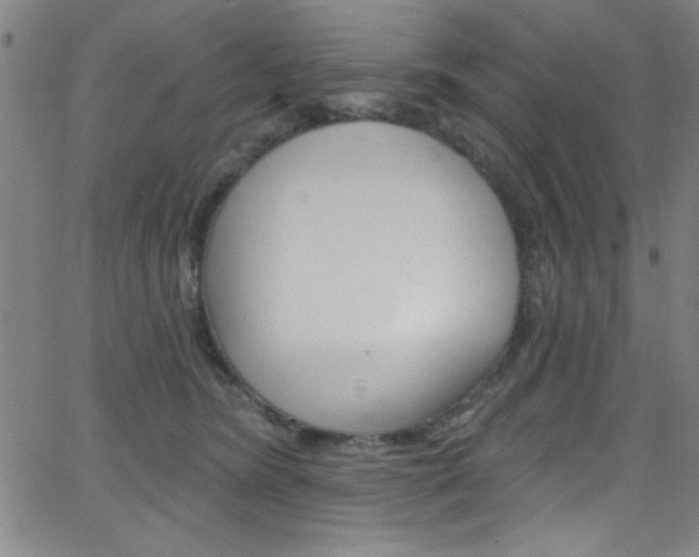 X0000068770420200604281023