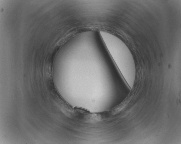 X0000068770421200604281023