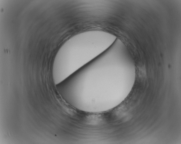 X0000068770422200604281022