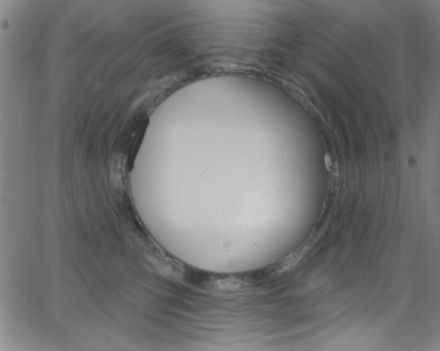 X0000068770423200604281022