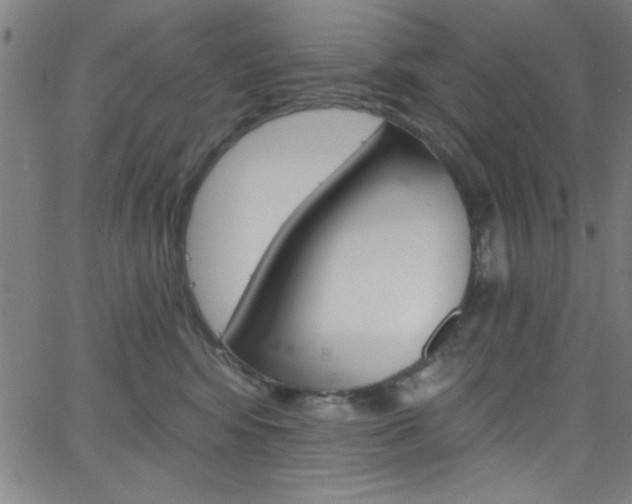 X0000068770424200604281022