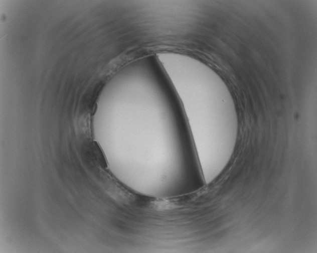 X0000068770425200604281022