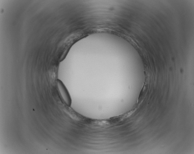 X0000068770427200604281022