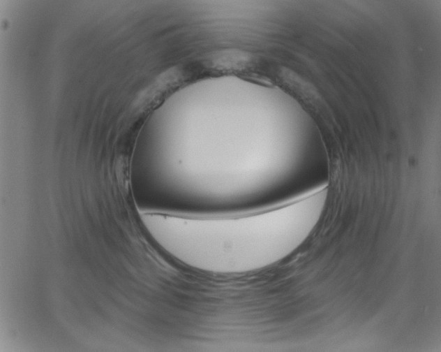 X0000068770428200604281022