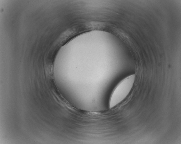 X0000068770429200604281022