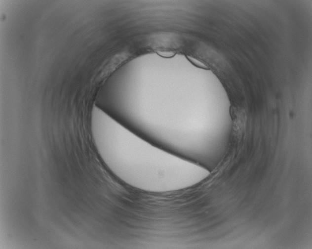 X0000068770430200604281022