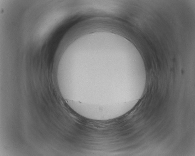 X0000068770431200604281022