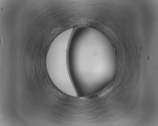 X0000068770432200604281022