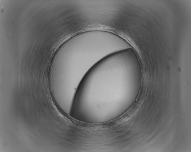 X0000068770433200604281022