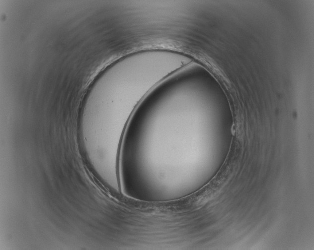 X0000068770434200604281022