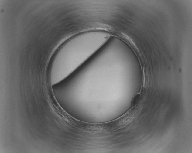 X0000068770435200604281022