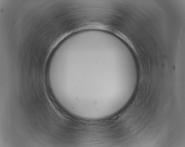 X0000068770436200604281022