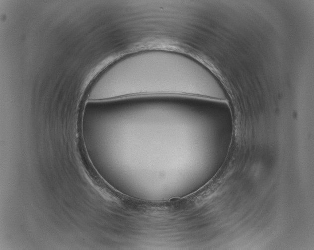 X0000068770438200604281022