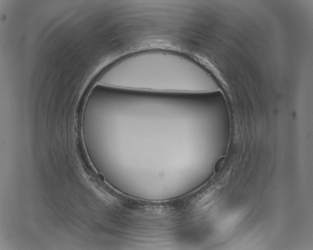 X0000068770439200604281022