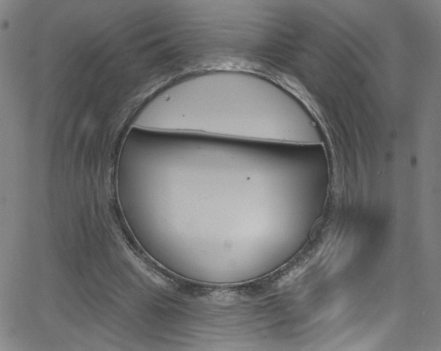 X0000068770441200604281022